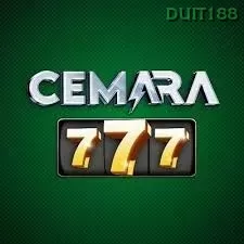 cemara777